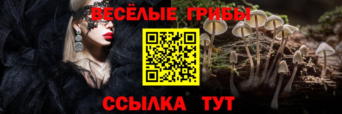 Псилоцибиновые грибы GOLDEN TEACHER  Вход с VPN  закладки  Кемерово 
